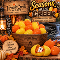 Seasons at the Creek